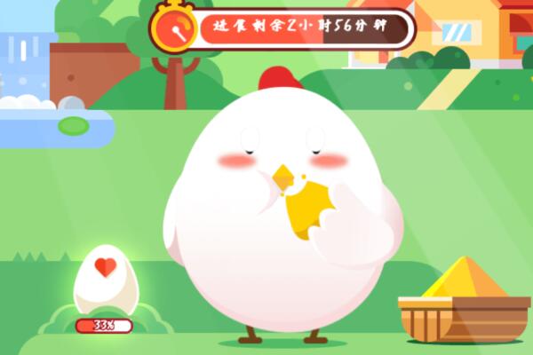 小鸡宝宝考考你,没成熟的青西红柿能吃吗