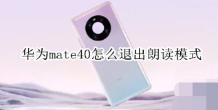 1604559462195024.png
