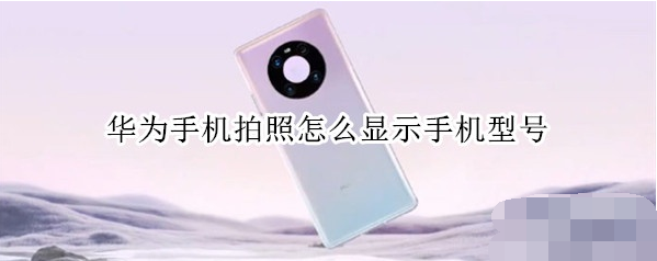 1606186515684826.png