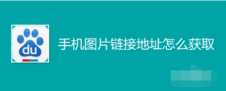 1606284689775634.png