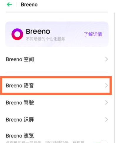 真我gtneo有没有语音助手