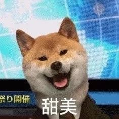 1525935172766309.jpeg