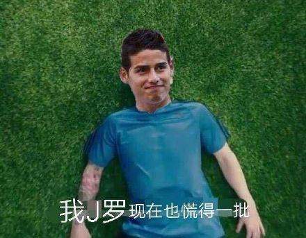 慌的一批梦之队表情包大全【世界杯我是J罗现在慌得一比】