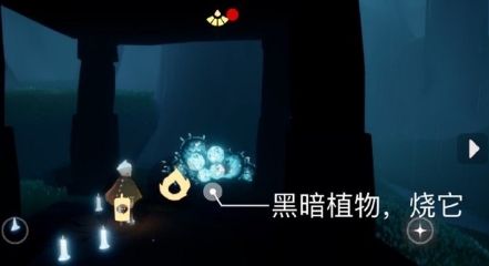 光遇8月5日每日任务怎么做 光遇魔法季8月5日每日任务完成攻略