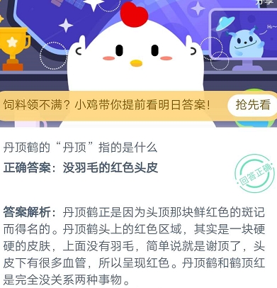 丹顶鹤的丹顶指的是什么 蚂蚁庄园2020年8月10日今日答案