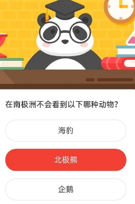 在南极洲不会看到以下哪种动物 森林驿站2020年8月20日森林小课堂答案
