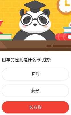 山羊的瞳孔是什么形状的 森林驿站2020年8月26日森林小课堂答案