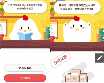 小鸡宝宝考考你,猫咪睡觉时为什么把身体蜷成团 2020年9月22日蚂蚁庄园小课堂答案
