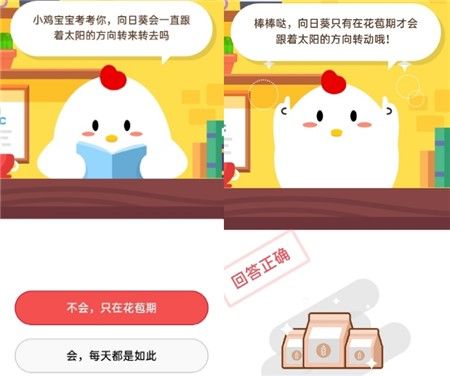 小鸡宝宝考考你,向日葵会一直跟着太阳的方向转来转去吗 2020年10月21日蚂蚁庄园小课堂答案