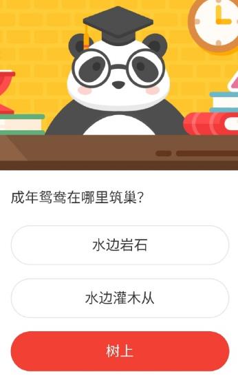 成年鸳鸯在哪里筑巢 森林驿站2020年11月7日森林小课堂答案