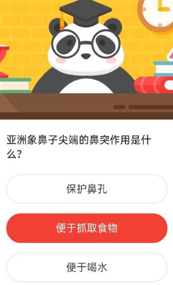 亚洲象鼻子尖端的鼻突作用是什么 森林驿站2020年11月13日森林小课堂答案