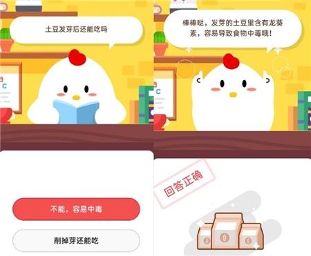 小鸡宝宝考考你,土豆发芽后还能吃吗 2020年11月13日蚂蚁庄园小课堂答案