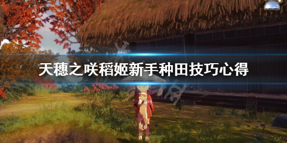 天穗之咲稻姬怎么种田 天穗之咲稻姬新手种田技巧心得