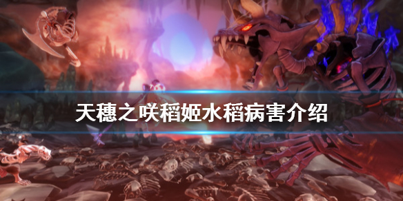 天穗之咲稻姬水稻各种病害治疗方法介绍