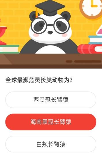 全球最濒危灵长类动物为 森林驿站2020年11月20日森林小课堂答案