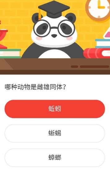 哪种动物是雌雄同体 森林驿站2020年11月22日森林小课堂答案