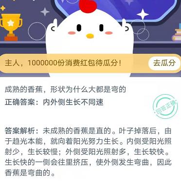 成熟的香蕉形状为什么大都是弯的 蚂蚁庄园2020年11月22日答案
