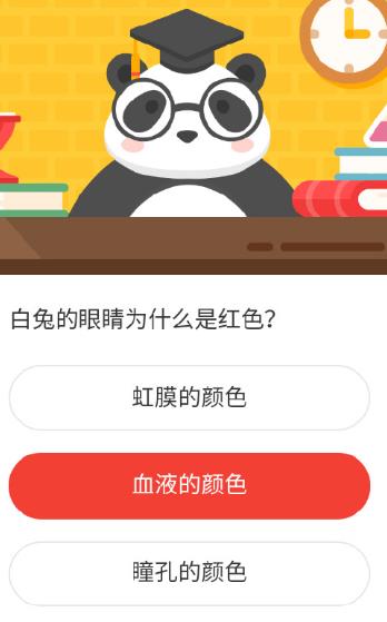 白兔的眼睛为什么是红色 森林驿站2020年11月23日森林小课堂答案