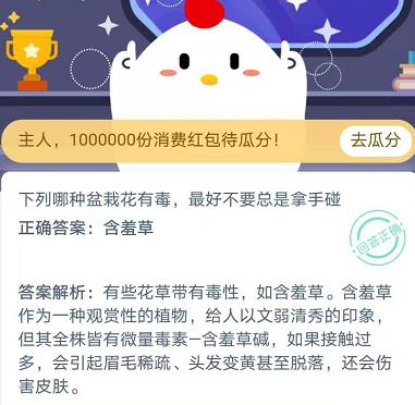 下列哪种盆栽花有毒最好不要总是拿手碰 蚂蚁庄园2020年11月23日答案