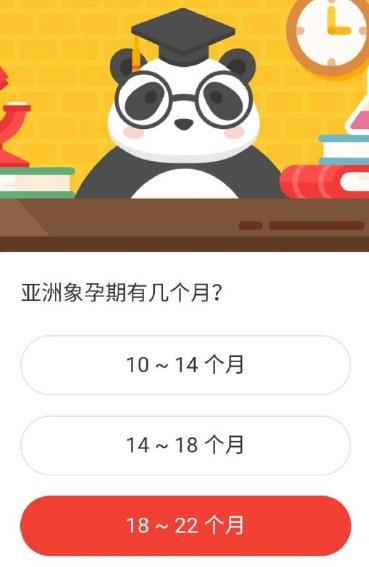 亚洲象孕期有几个月 森林驿站2020年11月25日森林小课堂答案