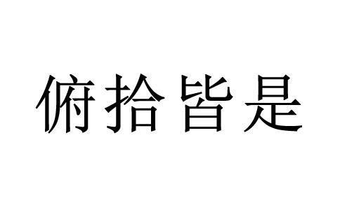 一个人在捡很多是字打一成语答案
